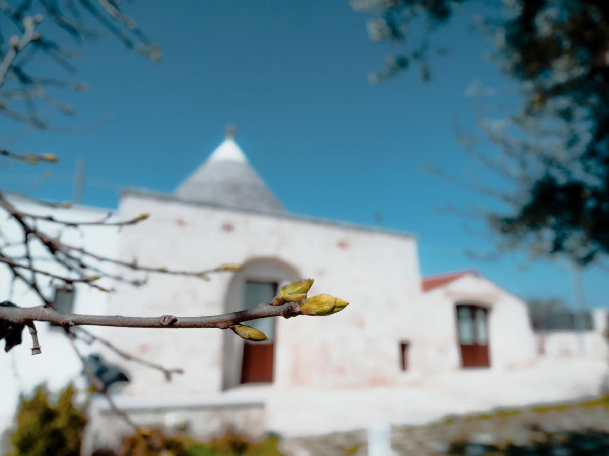 Rifugio Di Puglia - Trulli & Dimore Альберобелло Экстерьер фото